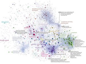 A promoter-level mammalian expression atlas.