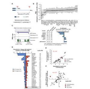 Dynamic analyses of alternative polyadenylationfrom RNA-seq reveal a 30-UTR landscape acrossseven tumour types