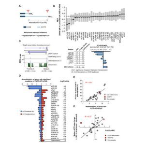 Dynamic analyses of alternative polyadenylationfrom RNA-seq reveal a 30-UTR landscape acrossseven tumour types