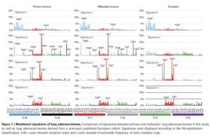 Frequent alteration in cytoskeleton remodelling genes in primary and metastatic lung adenocarcinomas