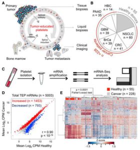 RNA-Seq of Tumor-Educated Platelets Enables Blood-Based Pan-Cancer, Multiclass, and Molecular Pathway Cancer Diagnostics