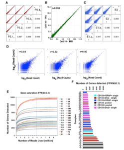 Single-Cell Transcriptome Analyses Reveal Signals to Activate Dormant Neural Stem Cells