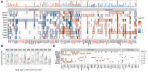 Large-scale analysis of genome and transcriptome alterations in multiple tumors unveils novel cancer-relevant splicing networks