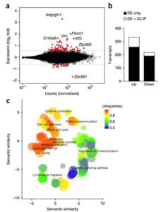 Maintenance of the marginal-zone B cell compartment specifically requires the RNA-binding protein ZFP36L1