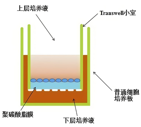 图片2 图片2
