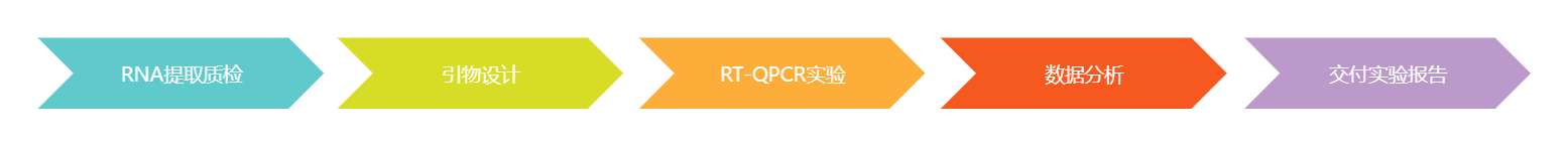 QPCR实验流程