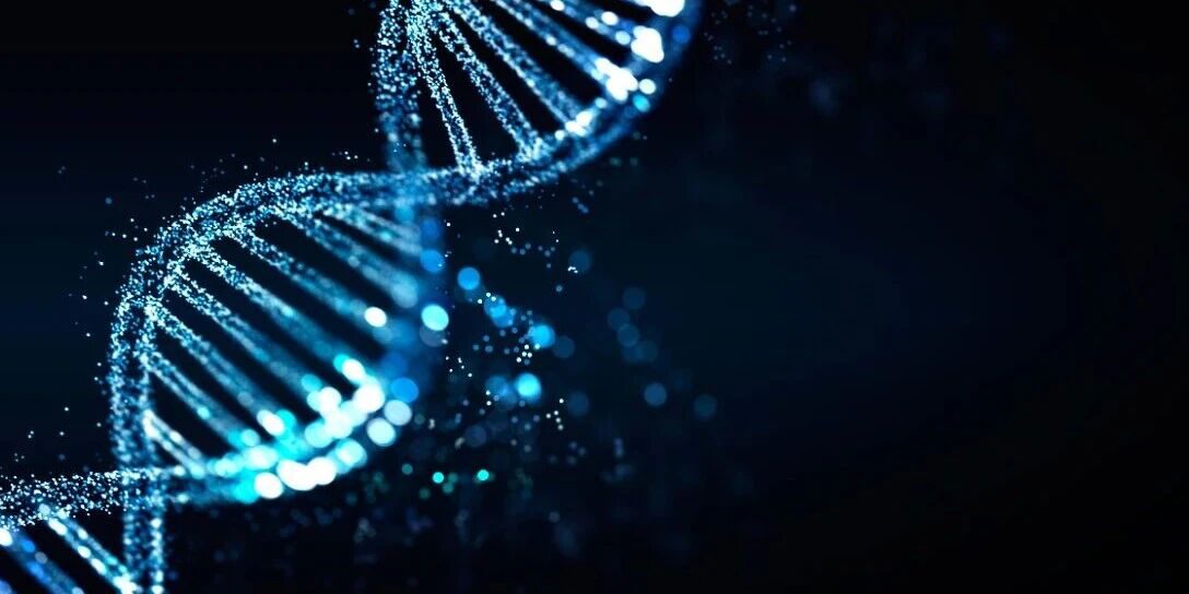 wxsync-2025-09-ced16f816eaf0d5d4162e075d3ea74f3