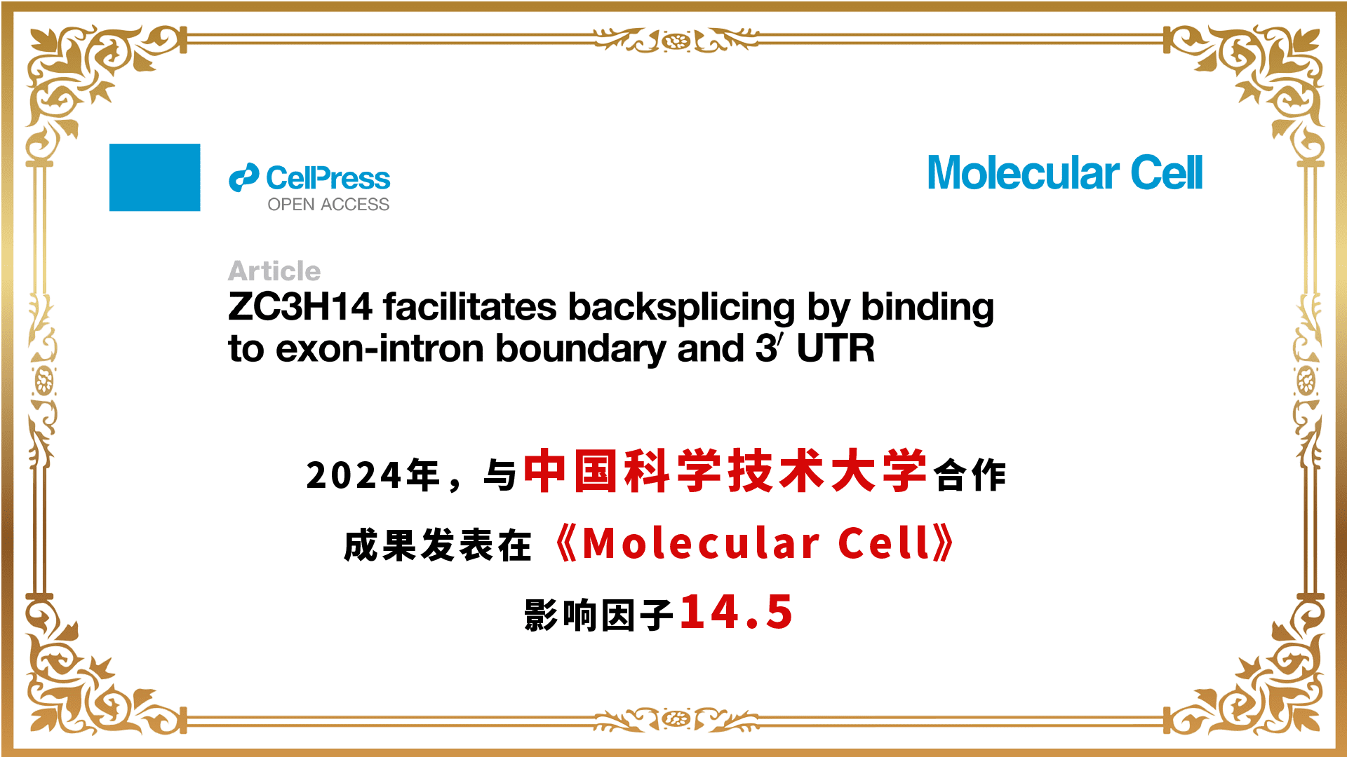 合作成果模板-01